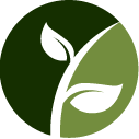 Garden Shrub Removal Pros