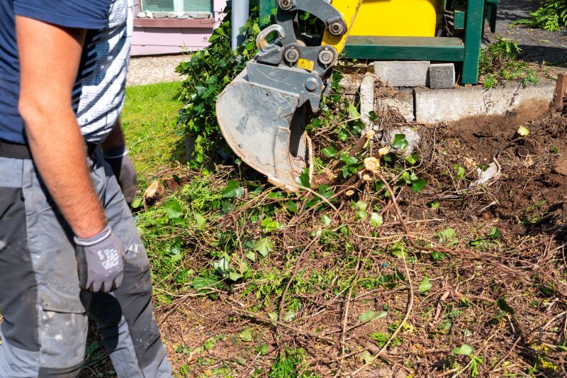 Garden Shrub Removal