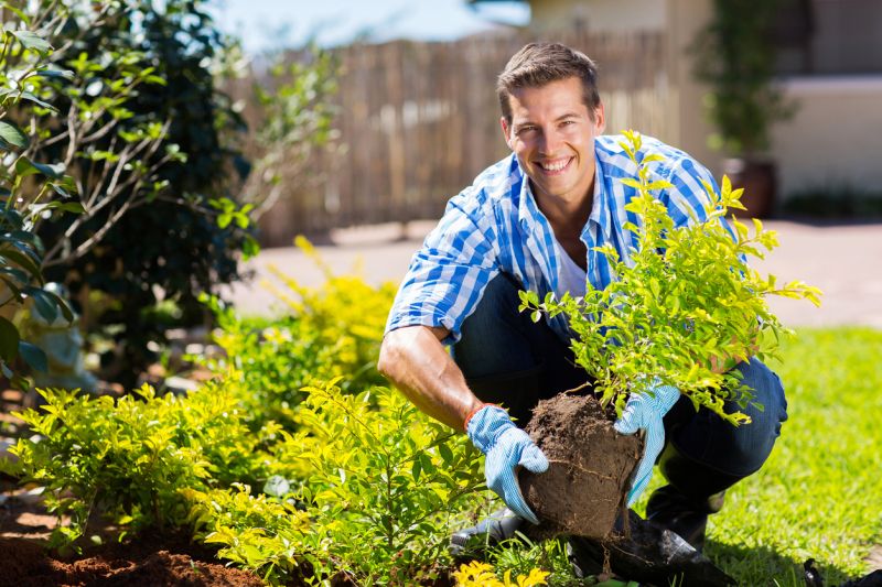 Garden Shrub Removal