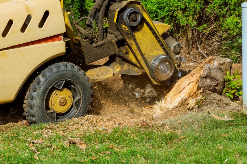 Shrub Removal Equipment