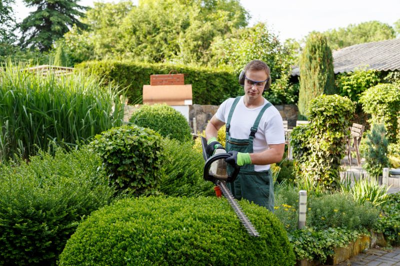 Garden Shrub Removal